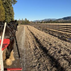Stillwater Ranch - Stillwater Ranch shires