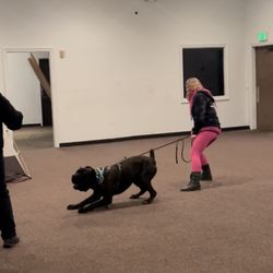 Voodoo K9