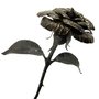 Enduring Iron