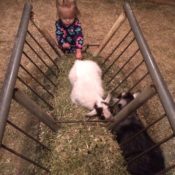 Peltzer Pumpkin Farm - Pumpkin Patches Near Me - Temecula, California