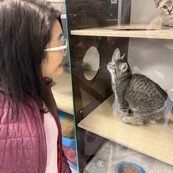Nuzzles Adoption Center - Pet Adoption Near Me - Park City, Utah