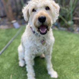 Happy & clean!