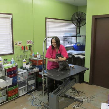 Oly's Pet Connection - Pet Stores Near Me - Abbotsford, British Columbia