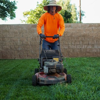 Yard Care by Steve - Gardeners Near Me Yard Care by Steve - Gardeners Near Me