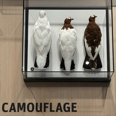 Burke Museum of Natural History and Culture by null Burke Museum of Natural History and Culture by null