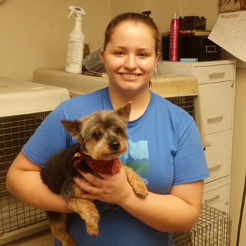 The Proud Pooch - Dog bather, Leah - Pet Groomers Near Me - Conshohocken, Pennsylvania The Proud Pooch - Dog bather, Leah - Pet Groomers Near Me - Conshohocken, Pennsylvania