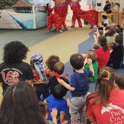 The Cole Academy - Mililani - Children delighting in a traditional Chinese Lion Dance performance.
