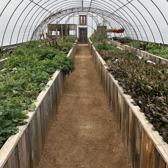 Cafe Homestead - Greenhouse - American Near Me - Waco, Texas Cafe Homestead - Greenhouse - American Near Me - Waco, Texas