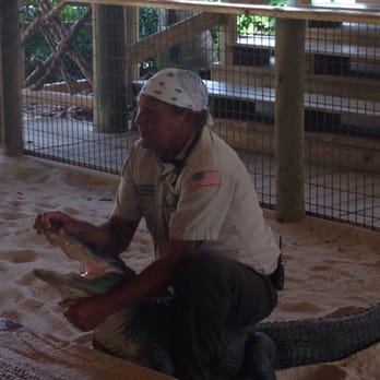 gator park - Dan the Gator man. - Boat Tours Near Me - Miami, Florida
