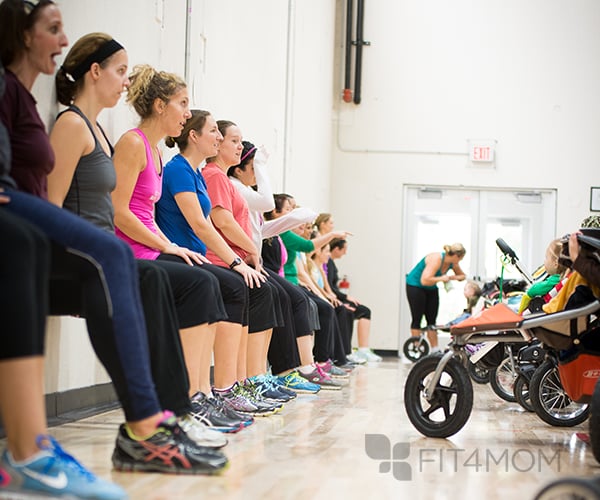 FIT4MOM - Fairview Logo