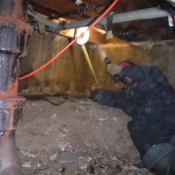 Celtic Pest Control - Checking for moisture damage below hall bathroom in crawlspace. - Pest Control Near Me - Reno, Nevada