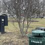 Photo of Hubbard Woods Park