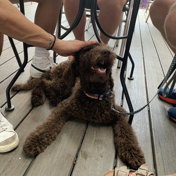 Bluestem Bistro - Dog friendly! - Breakfast & Brunch Near Me - Manhattan, Kansas Bluestem Bistro - Dog friendly! - Breakfast & Brunch Near Me - Manhattan, Kansas