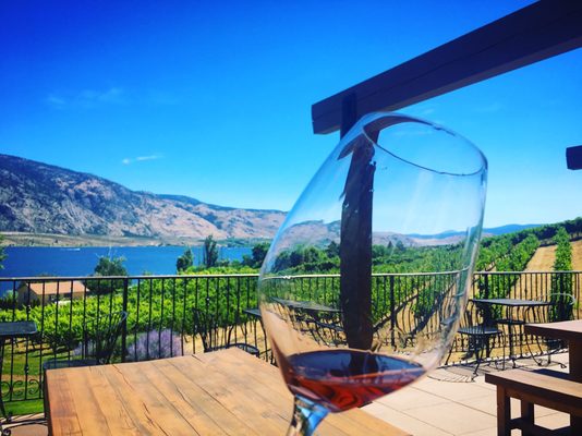 La Stella Winery by null