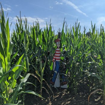 Davis Mega Farm Festival - We found Waldo! - Amusement Parks Near Me - Sterling, Massachusetts Davis Mega Farm Festival - We found Waldo! - Amusement Parks Near Me - Sterling, Massachusetts