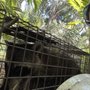 Photo of Melina's Wildlife Rehabilitation Center