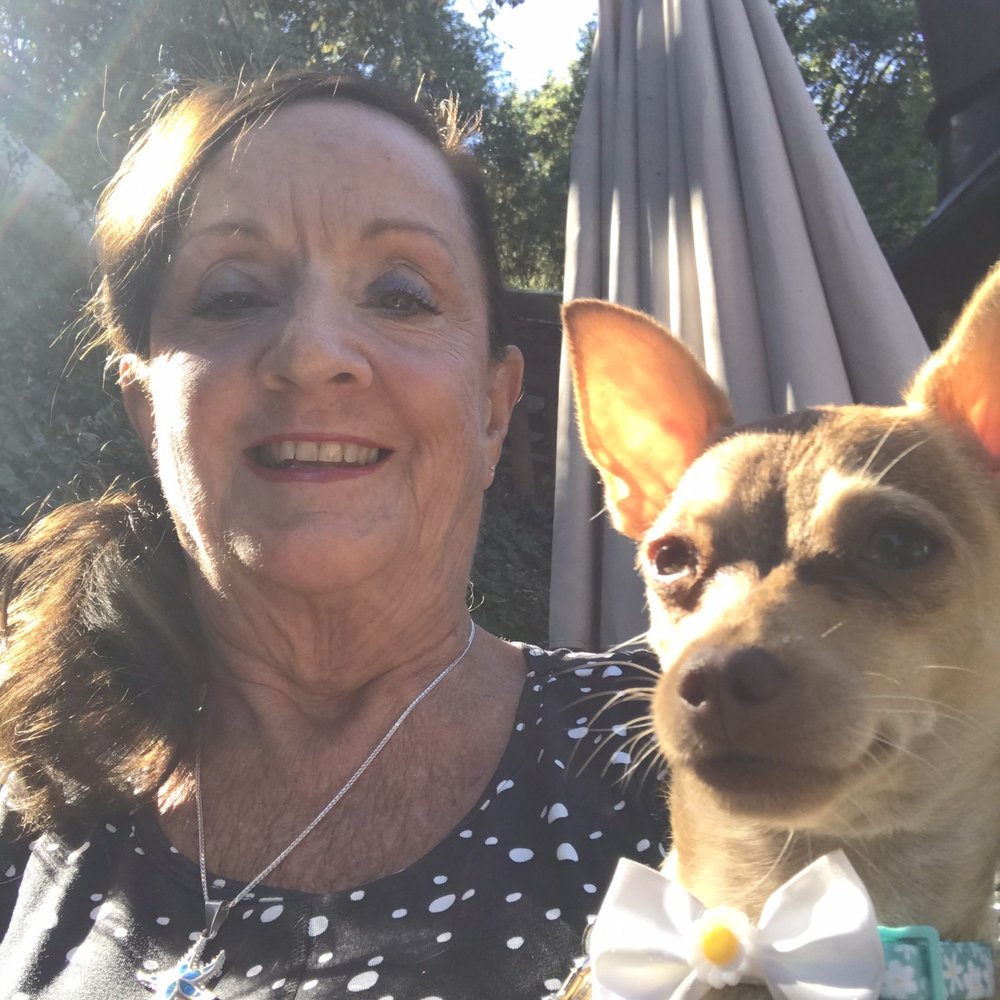 Buckeye Roadhouse - Dog friendly patio and staff! - American Near Me - Mill Valley, California Buckeye Roadhouse - Dog friendly patio and staff! - American Near Me - Mill Valley, California