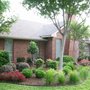 Photo of Backyard Creations