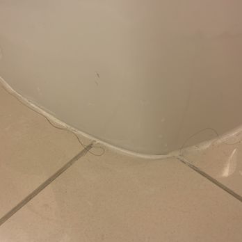 Marriott St. Louis Airport - Hair around toilet - Hotels Near Me - St. Louis, Missouri