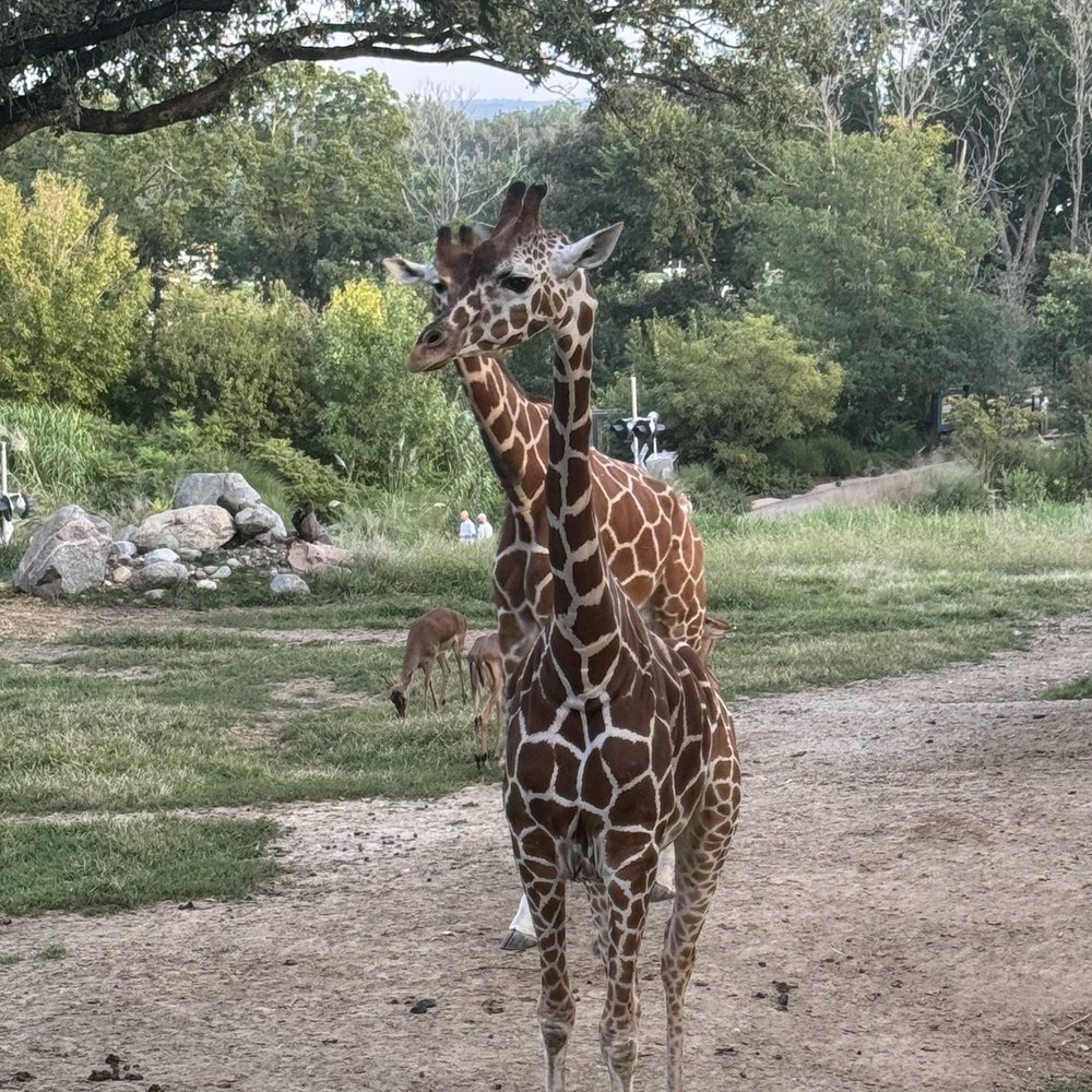 Omaha Zoo Foundation - Zoos Near Me - Omaha, Nebraska