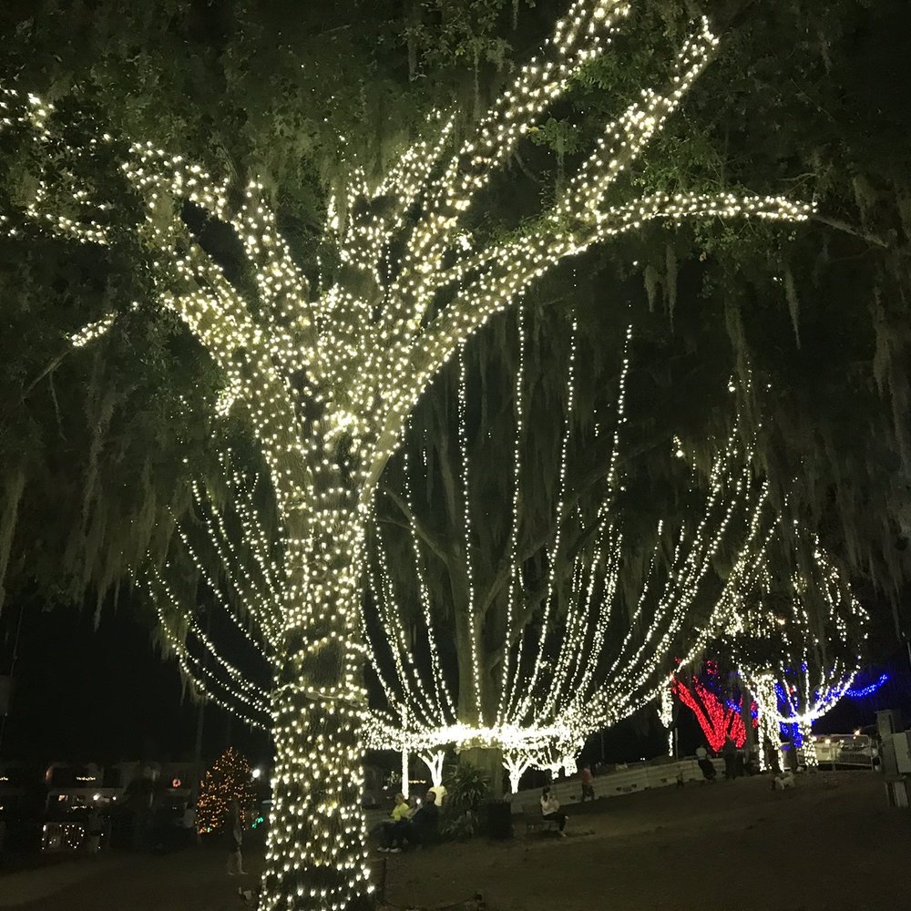 Donnelly Park - Parks Near Me - Mount Dora, Florida
