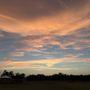 Photo of Gene Green Beltway 8 Park