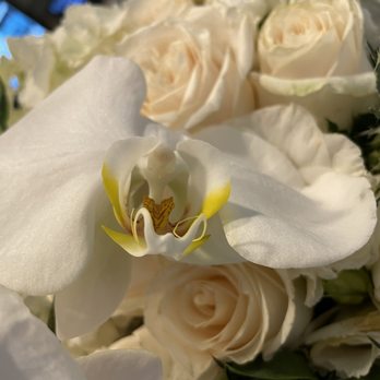 La Fleur Eclose - The lilies were falling apart and this immediately on delivery. The flowers lasted only 3 days before needing to be discarded. - Florists Near Me - Encino, California