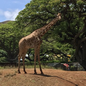 Honolulu Zoo - Zoos Near Me - Honolulu, Hawaii
