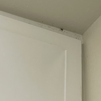 Northpark Apartments - Roach in the kitchen - Apartments Near Me - Burlingame, California Northpark Apartments - Roach in the kitchen - Apartments Near Me - Burlingame, California