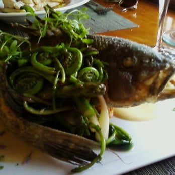 The Brewster Fish House - Black Bass with fiddleheads and ramps. SUBLIME! - Seafood Near Me - Brewster, Massachusetts The Brewster Fish House - Black Bass with fiddleheads and ramps. SUBLIME! - Seafood Near Me - Brewster, Massachusetts