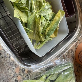 H Mart - Diamond Bar - Rotting Chinese broccoli hidden inside a prepackaged bundle of green broccoli! - Grocery Near Me - Diamond Bar, California