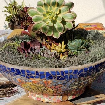 Heavenly Vintage Nursery - Succulents from Heavenly Vintage Nursery - Nurseries & Gardening Near Me - Long Beach, California Heavenly Vintage Nursery - Succulents from Heavenly Vintage Nursery - Nurseries & Gardening Near Me - Long Beach, California