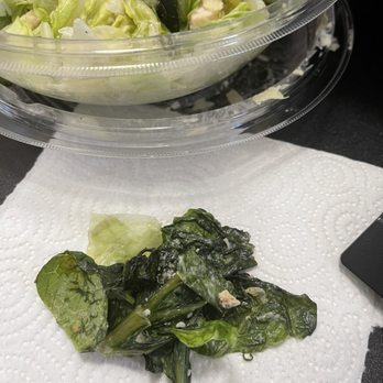 Panera Bread - Slimy rotten lettuce - Salad Near Me - Reno, Nevada