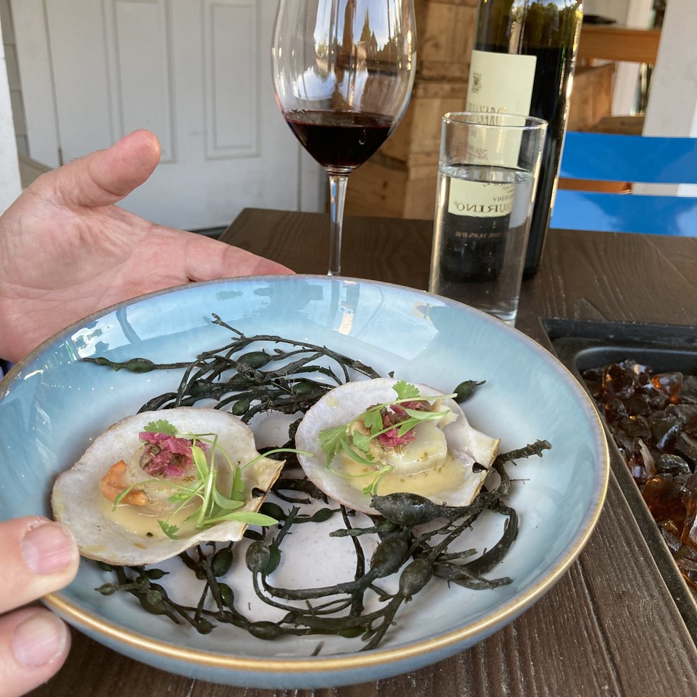 River House Restaurant - Special scallop appetizer--fantastic! - American Near Me - Damariscotta, Maine River House Restaurant - Special scallop appetizer--fantastic! - American Near Me - Damariscotta, Maine