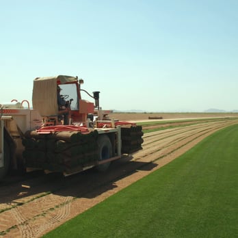 Evergreen Turf - Hauling pallets out of the field with one of our Trebro Quadlifts - Landscaping Near Me - Chandler, Arizona Evergreen Turf - Hauling pallets out of the field with one of our Trebro Quadlifts - Landscaping Near Me - Chandler, Arizona