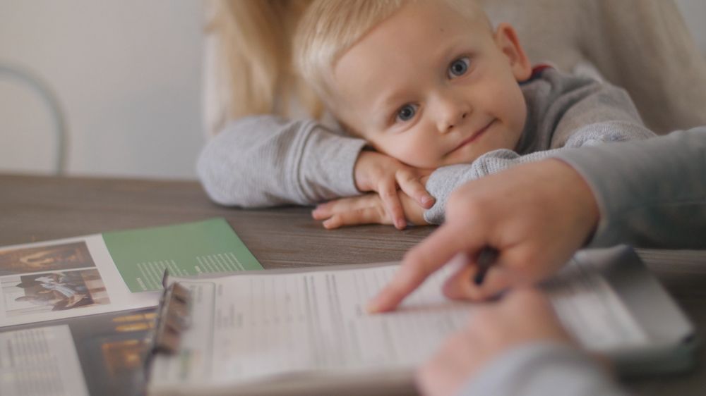 HOMESHIELD PEST CONTROL Updated September 2024 123 Photos Elk