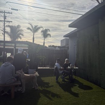 Saba Surf - Coffee & Tea Near Me - Los Angeles, California