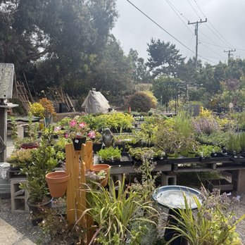 Los Osos Valley Nursery - Nurseries & Gardening Near Me - Los Osos, California