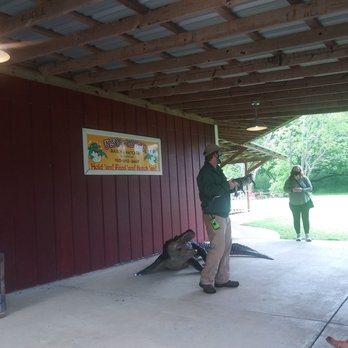 Insta-Gator Ranch & Hatchery - Tours Near Me - Covington, Louisiana