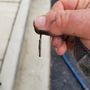 Photo of Bicycle Therapist