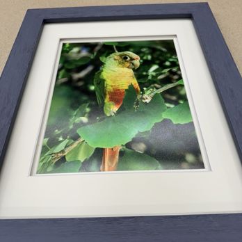 Midtown Art & Photo - The completed photo. Thank you to David, Dave at midtown Art and photo, and to Jo at Michael's for the framing & referral. Julie A - Printing Services Near Me - Reno, Nevada