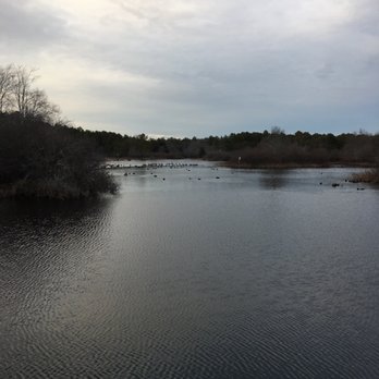 Quogue Wildlife Refuge - Parks Near Me - Quogue, New York Quogue Wildlife Refuge - Parks Near Me - Quogue, New York