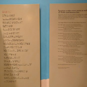 Field Museum - Museums Near Me - Chicago, Illinois