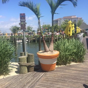 De Lazy Lizard - American Near Me - Ocean City, Maryland De Lazy Lizard - American Near Me - Ocean City, Maryland