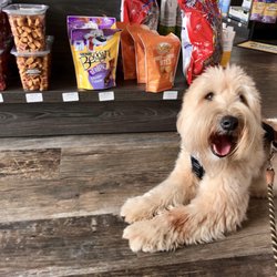 Pet Supermarket - Leia approves!