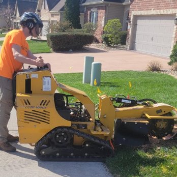 Invictus Trees - Tree Services Near Me - Lake Saint Louis, Missouri Invictus Trees - Tree Services Near Me - Lake Saint Louis, Missouri