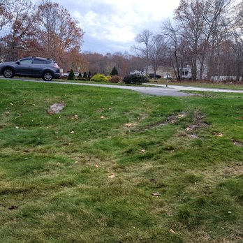 Berrys Tree Service - This was a nearly perfect lawn earlier in the day - Tree Services Near Me