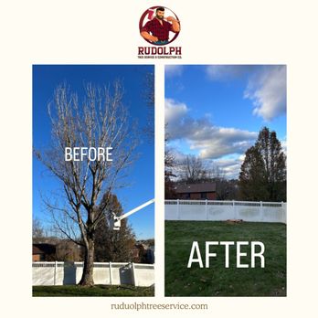 Rudolph Tree Service - Tree Services Near Me Rudolph Tree Service - Tree Services Near Me