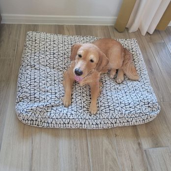 Jubilee by Johnson Development - Furr babies welcome - Home Developers Near Me - Hockley, Texas