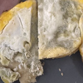 Bruegger's Bagels - Egg, Ham & Cheese - Breakfast & Brunch Near Me - Madison, Alabama